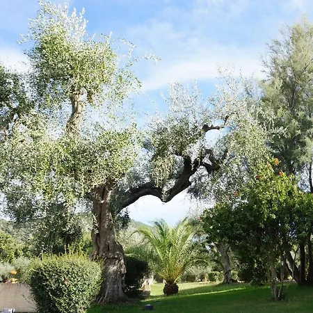 Oasimaremma Village Holiday park 3*