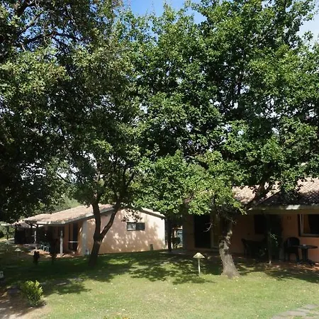 Holiday park Oasimaremma Village